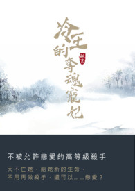 小说冷王宠妃