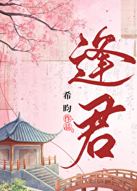 逢君正当时小说